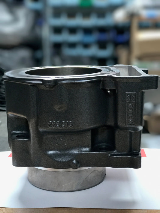 613-306 - 99.97mm Piston and Cylinder Assembly